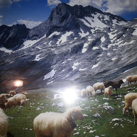 Gasthof Zum Rassen Garmisch-Partenkirchen Buitenkant foto
