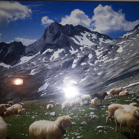 Gasthof Zum Rassen Garmisch-Partenkirchen Buitenkant foto