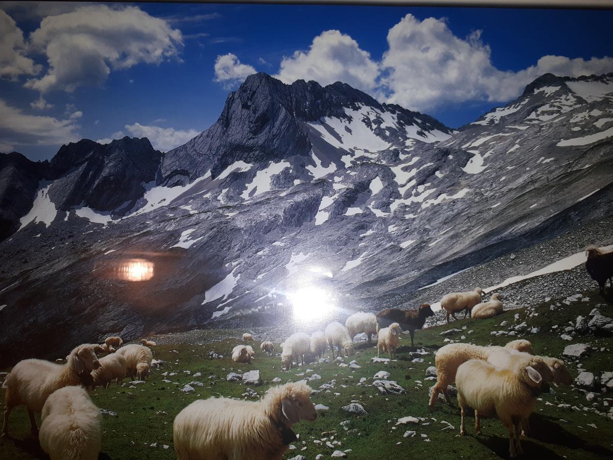 Gasthof Zum Rassen Garmisch-Partenkirchen Buitenkant foto